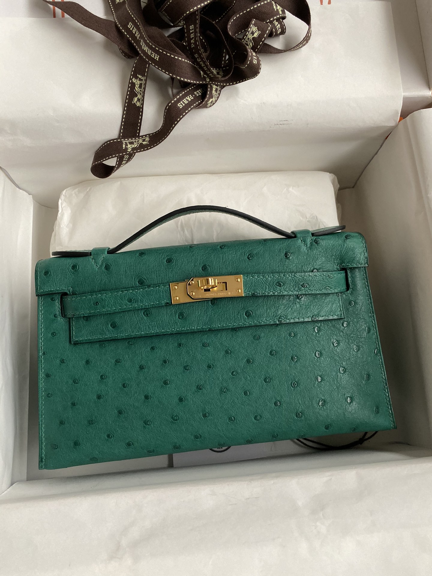 Hermes Mini Kelly Pochette 22cm Bag In Vert Vertigo Ostrich Leather